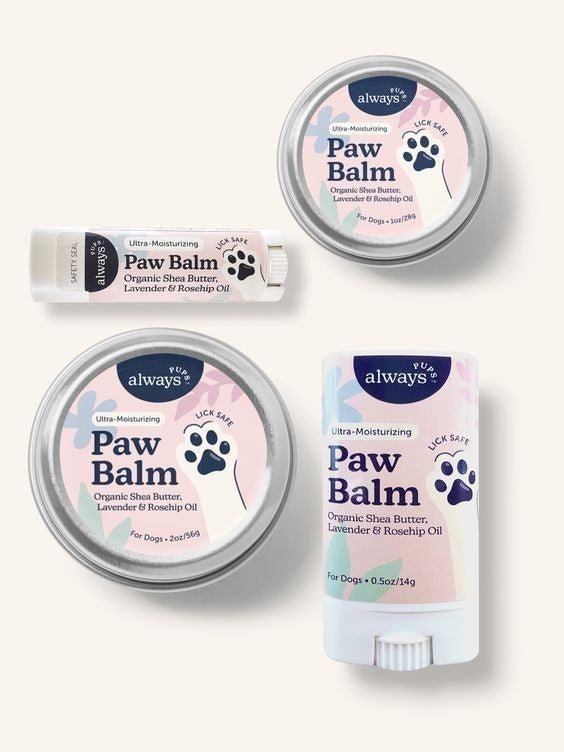 Dog Grooming Supplies