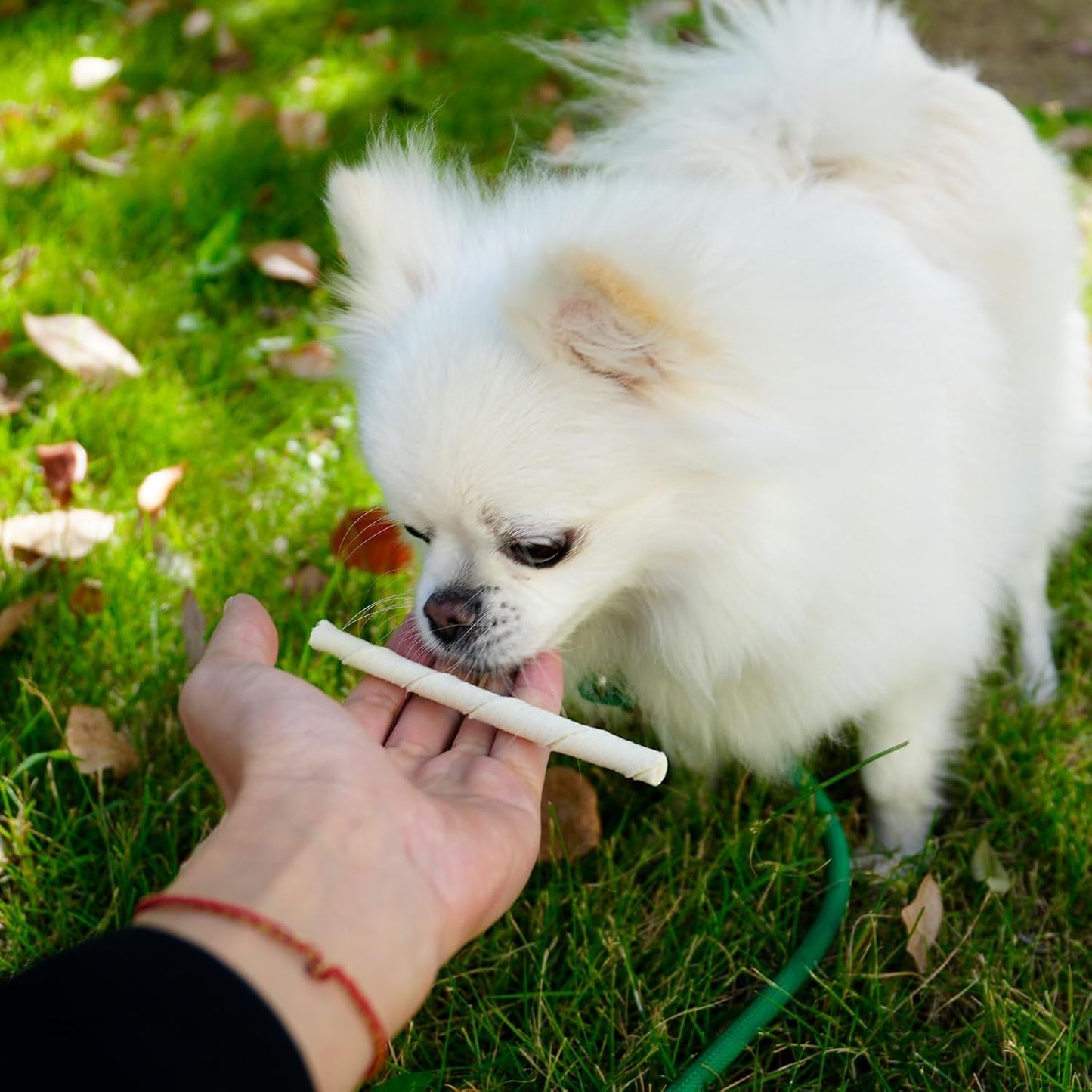 MON2SUN Dog Rawhide Twist Sticks Natural 5 Inch Thin Sticks Rawhide Chews Treats for Puppy and Small Dogs 60 Count, 12.7oz