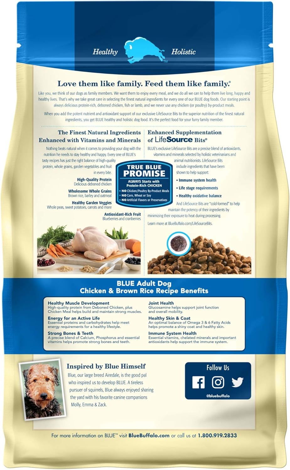 Blue Buffalo Life Protection Formula Natural Adult Dry Dog Food, Chicken and Brown Rice 6-lb