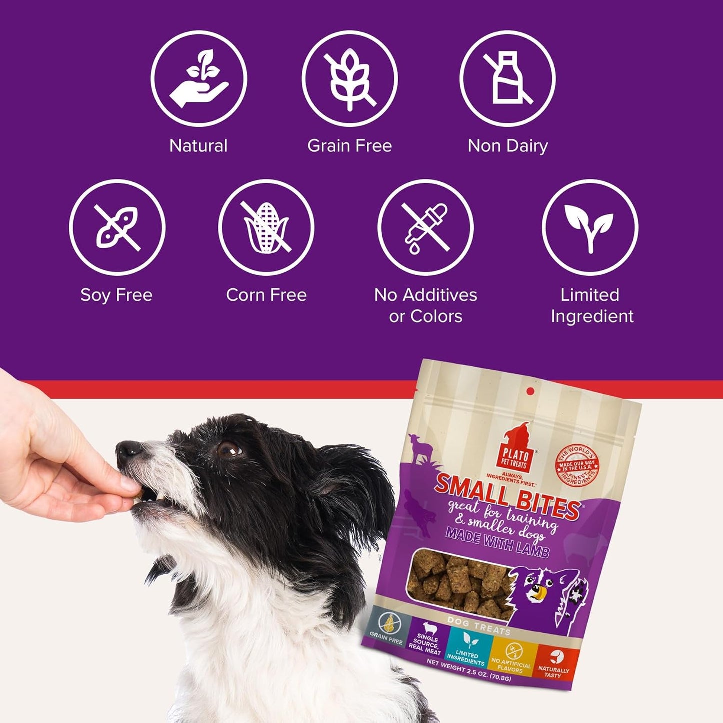 PLATO Pet Treats Small Bites - Air-Dried Training Treats for Dogs - Supports Healthy Digestion - Limited Ingredients - Lamb 2.5oz