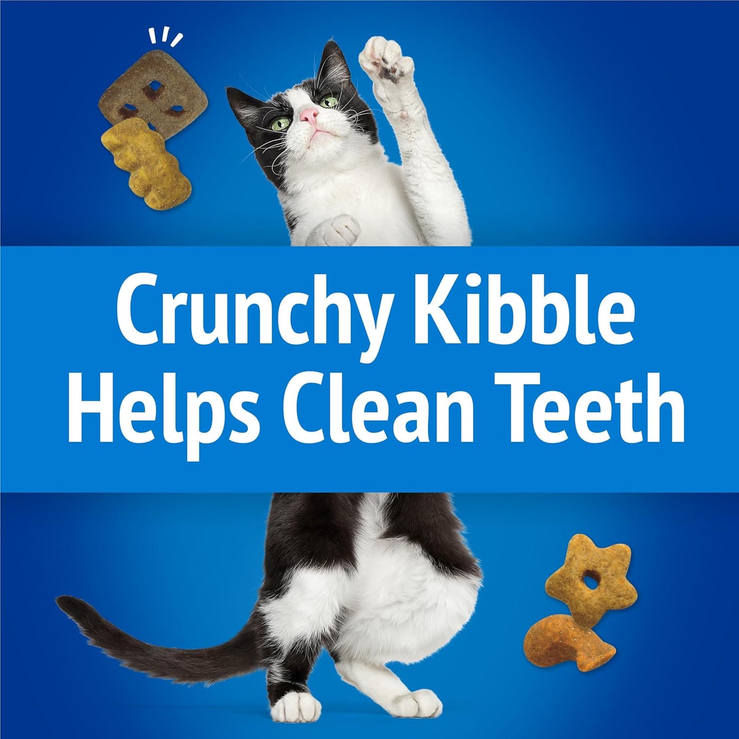 Purina Friskies Cat Treats, Party Mix Beachside Crunch - (Pack of 10) 2.1 oz. Pouches