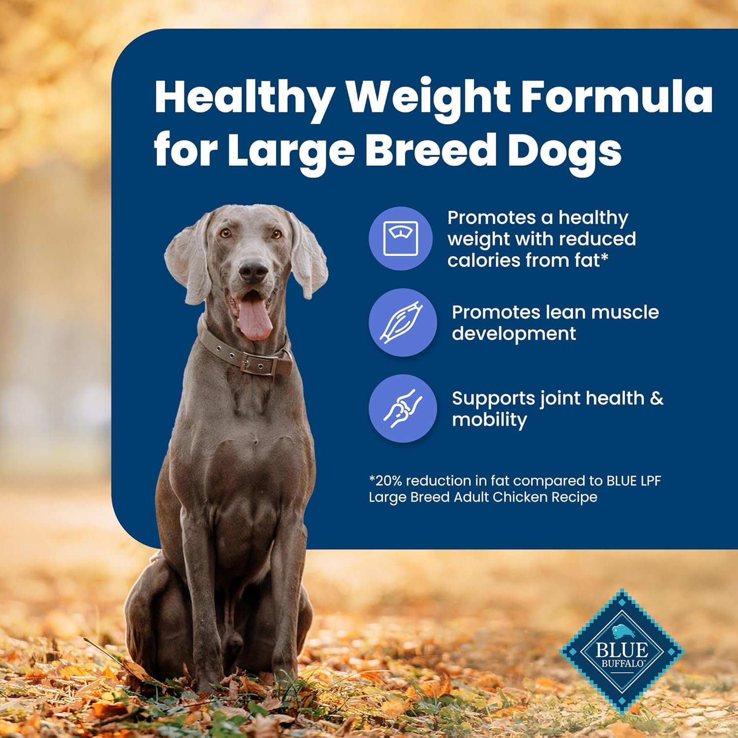 Blue Buffalo Life Protection Formula Healthy Weight Large Breed Adult Dry Dog Food for Weight Control, Made with Natural Ingredients, Chicken & Brown Rice Recipe, 30-lb Bag