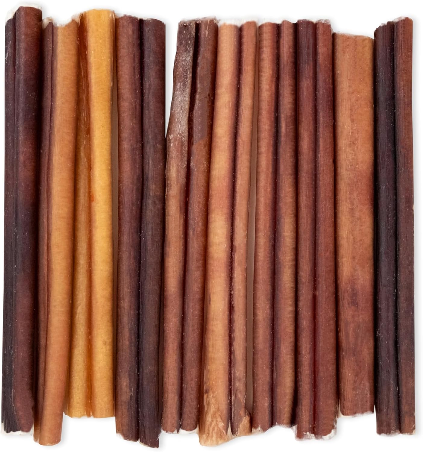 Best Pet Supplies GigaBite 6 Inch Regular Bully Sticks (10 Pack) - All Natural, Free Range Beef Pizzle Dog Treat