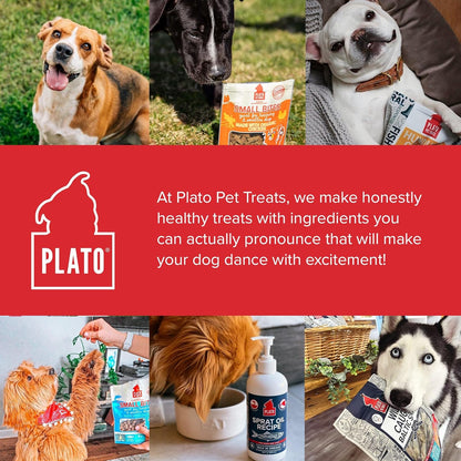 PLATO Pet Treats Small Bites - Air-Dried Training Treats for Dogs - Supports Healthy Digestion - Limited Ingredients - Lamb 2.5oz